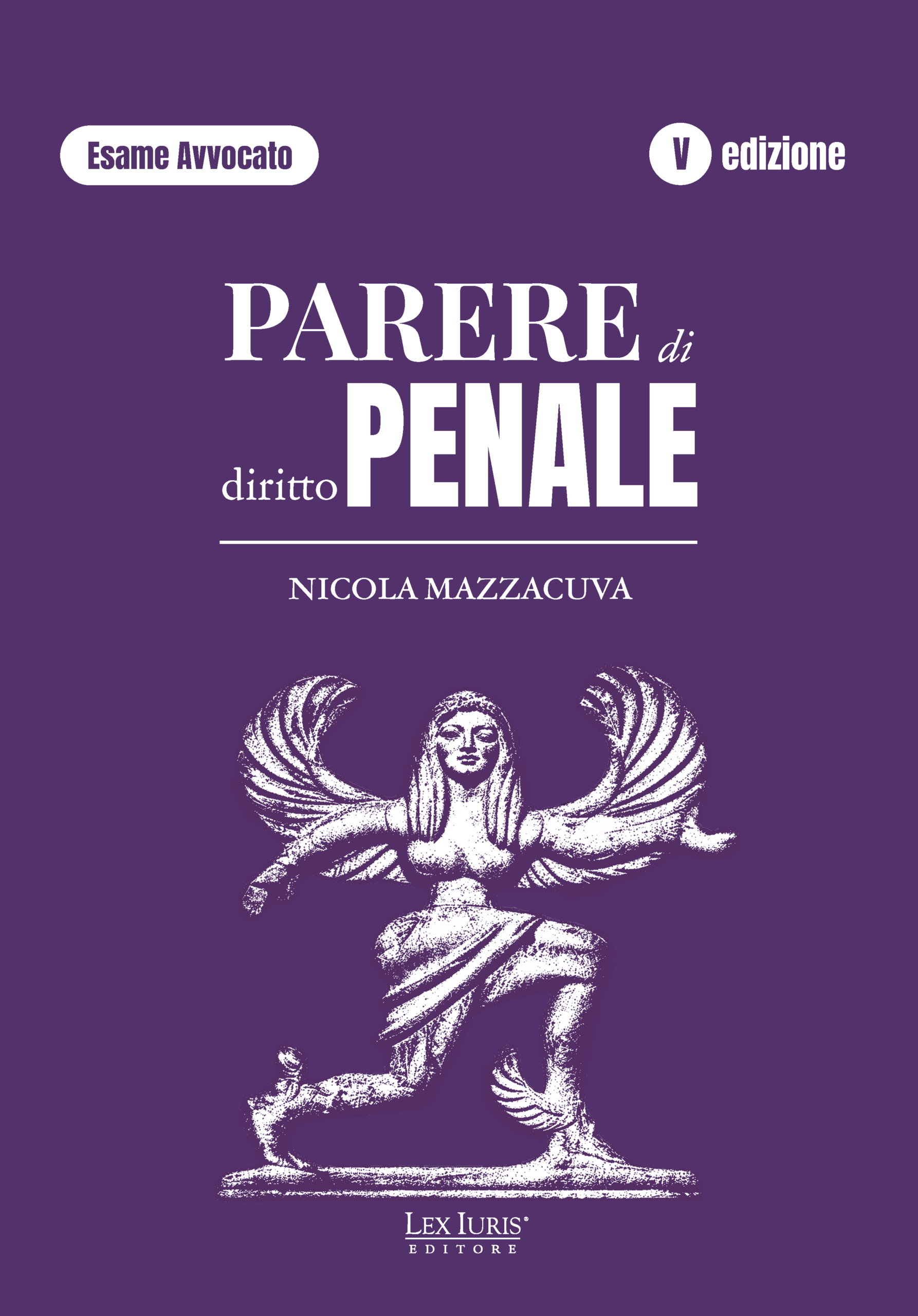 Parere di Diritto Penale - Ed. 2026